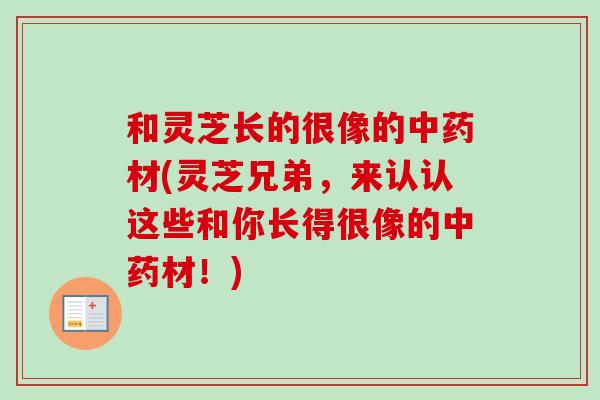 和灵芝长的很像的中药材(灵芝兄弟,来认认这些和你长得很像的中药材!)-第1张图片-卓越灵芝孢子粉 和灵芝长的很像的中药材(灵芝兄弟,来认认这些和你长得很像的中药材!)-第1张图片-卓越灵芝孢子粉
