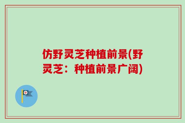仿野灵芝种植前景(野灵芝:种植前景广阔)-第1张图片-卓越灵芝孢子粉 仿野灵芝种植前景(野灵芝:种植前景广阔)-第1张图片-卓越灵芝孢子粉