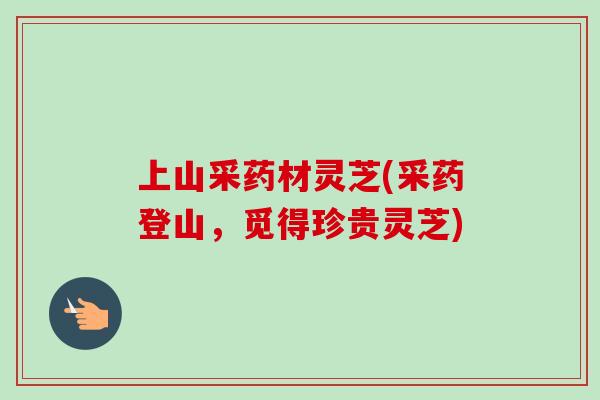 上山采药材灵芝(采药登山,觅得珍贵灵芝)-第1张图片-卓越灵芝孢子粉 上山采药材灵芝(采药登山,觅得珍贵灵芝)-第1张图片-卓越灵芝孢子粉