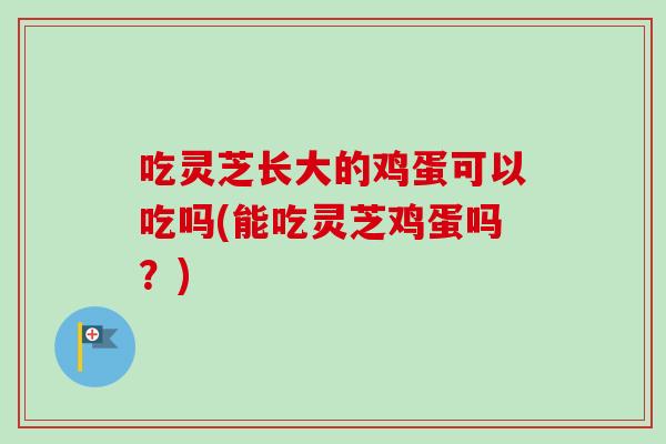 吃灵芝长大的鸡蛋可以吃吗(能吃灵芝鸡蛋吗?)-第1张图片-卓越灵芝孢子粉 吃灵芝长大的鸡蛋可以吃吗(能吃灵芝鸡蛋吗?)-第1张图片-卓越灵芝孢子粉