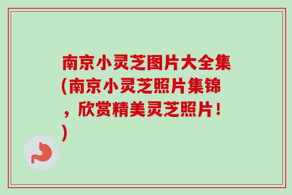 南京小灵芝图片大全集(南京小灵芝照片集锦,欣赏精美灵芝照片!)-第1张图片-卓越灵芝孢子粉 南京小灵芝图片大全集(南京小灵芝照片集锦,欣赏精美灵芝照片!)-第1张图片-卓越灵芝孢子粉