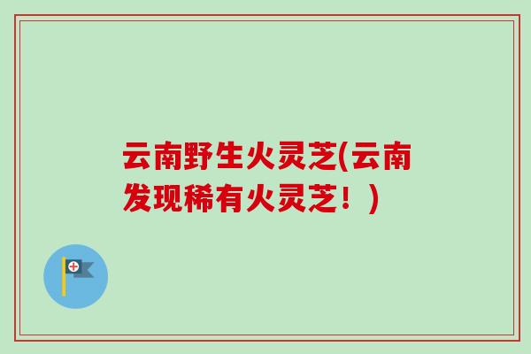 云南野生火灵芝(云南发现稀有火灵芝！)-第1张图片-卓越灵芝孢子粉
