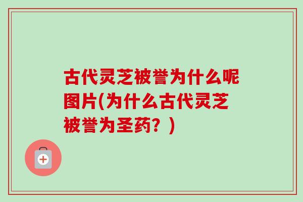 古代灵芝被誉为什么呢图片(为什么古代灵芝被誉为圣药?)-第1张图片-卓越灵芝孢子粉 古代灵芝被誉为什么呢图片(为什么古代灵芝被誉为圣药?)-第1张图片-卓越灵芝孢子粉