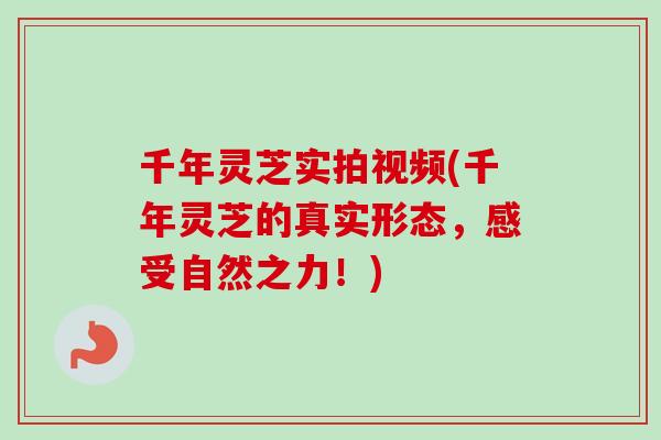 千年灵芝实拍视频(千年灵芝的真实形态,感受自然之力!)-第1张图片-卓越灵芝孢子粉 千年灵芝实拍视频(千年灵芝的真实形态,感受自然之力!)-第1张图片-卓越灵芝孢子粉