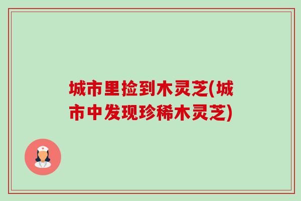 城市里捡到木灵芝(城市中发现珍稀木灵芝)-第1张图片-卓越灵芝孢子粉