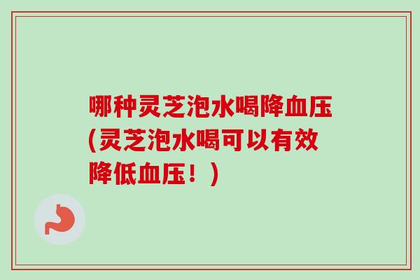 哪种灵芝泡水喝降血压(灵芝泡水喝可以有效降低血压!)-第1张图片-卓越灵芝孢子粉 哪种灵芝泡水喝降血压(灵芝泡水喝可以有效降低血压!)-第1张图片-卓越灵芝孢子粉