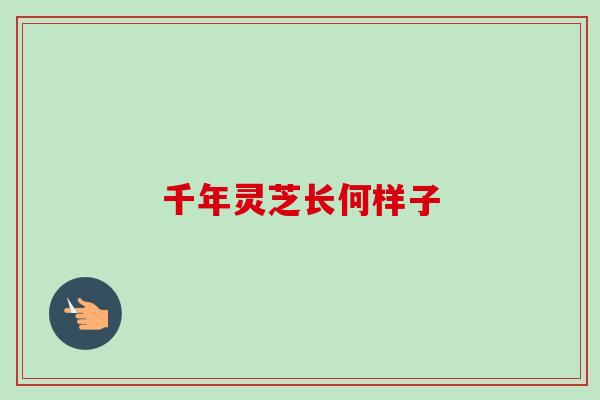 千年灵芝长何样子-第1张图片-卓越灵芝孢子粉