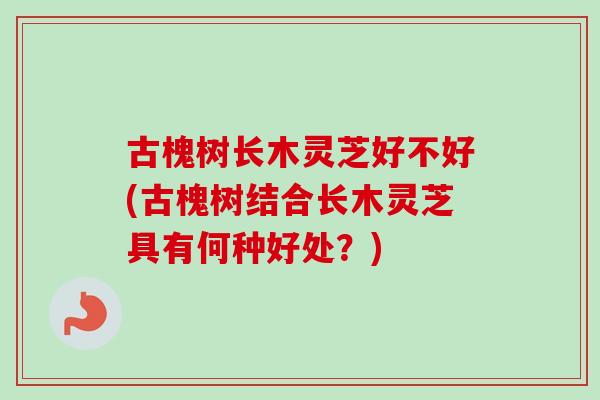 古槐树长木灵芝好不好(古槐树结合长木灵芝具有何种好处？)-第1张图片-卓越灵芝孢子粉