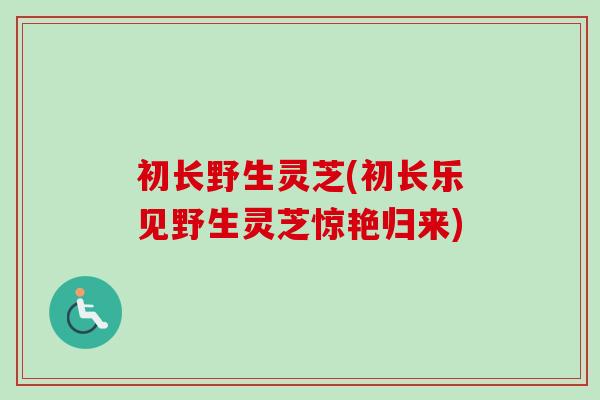 初长野生灵芝(初长乐见野生灵芝惊艳归来)-第1张图片-卓越灵芝孢子粉 初长野生灵芝(初长乐见野生灵芝惊艳归来)-第1张图片-卓越灵芝孢子粉