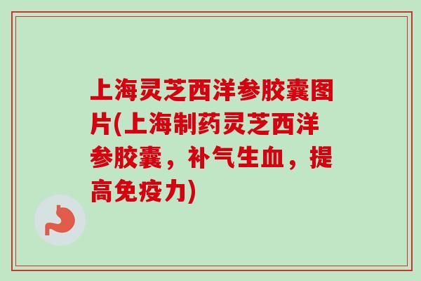 上海灵芝西洋参胶囊图片(上海制药灵芝西洋参胶囊,补气生血,提高免疫力)-第1张图片-卓越灵芝孢子粉 上海灵芝西洋参胶囊图片(上海制药灵芝西洋参胶囊,补气生血,提高免疫力)-第1张图片-卓越灵芝孢子粉