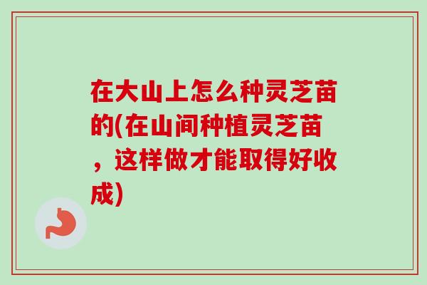 在大山上怎么种灵芝苗的(在山间种植灵芝苗,这样做才能取得好收成)-第1张图片-卓越灵芝孢子粉 在大山上怎么种灵芝苗的(在山间种植灵芝苗,这样做才能取得好收成)-第1张图片-卓越灵芝孢子粉