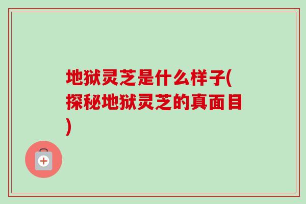 地狱灵芝是什么样子(探秘地狱灵芝的真面目)-第1张图片-卓越灵芝孢子粉 地狱灵芝是什么样子(探秘地狱灵芝的真面目)-第1张图片-卓越灵芝孢子粉