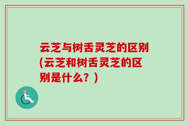 云芝与树舌灵芝的区别(云芝和树舌灵芝的区别是什么?)-第1张图片-卓越灵芝孢子粉 云芝与树舌灵芝的区别(云芝和树舌灵芝的区别是什么?)-第1张图片-卓越灵芝孢子粉