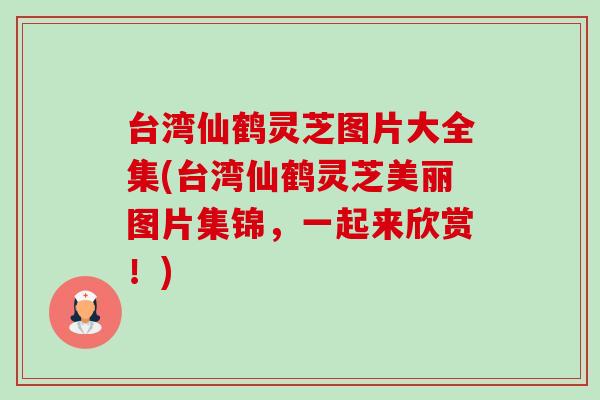 台湾仙鹤灵芝图片大全集(台湾仙鹤灵芝美丽图片集锦，一起来欣赏！)-第1张图片-卓越灵芝孢子粉