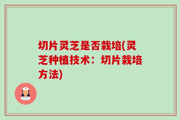 切片灵芝是否栽培(灵芝种植技术：切片栽培方法)-第1张图片-卓越灵芝孢子粉