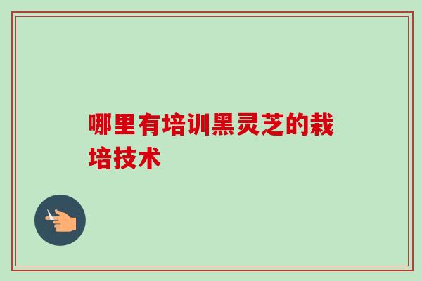 哪里有培训黑灵芝的栽培技术-第1张图片-卓越灵芝孢子粉 哪里有培训黑灵芝的栽培技术-第1张图片-卓越灵芝孢子粉