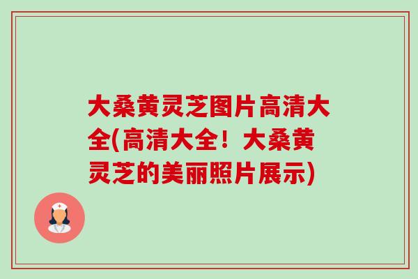 大桑黄灵芝图片高清大全(高清大全!大桑黄灵芝的美丽照片展示)-第1张图片-卓越灵芝孢子粉 大桑黄灵芝图片高清大全(高清大全!大桑黄灵芝的美丽照片展示)-第1张图片-卓越灵芝孢子粉