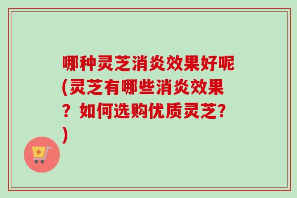 哪种灵芝消炎效果好呢(灵芝有哪些消炎效果？如何选购优质灵芝？)-第1张图片-卓越灵芝孢子粉