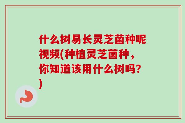 什么树易长灵芝菌种呢视频(种植灵芝菌种,你知道该用什么树吗?)-第1张图片-卓越灵芝孢子粉 什么树易长灵芝菌种呢视频(种植灵芝菌种,你知道该用什么树吗?)-第1张图片-卓越灵芝孢子粉