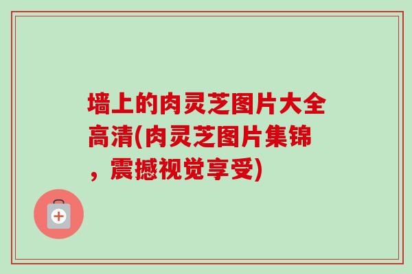 墙上的肉灵芝图片大全高清(肉灵芝图片集锦，震撼视觉享受)-第1张图片-卓越灵芝孢子粉
