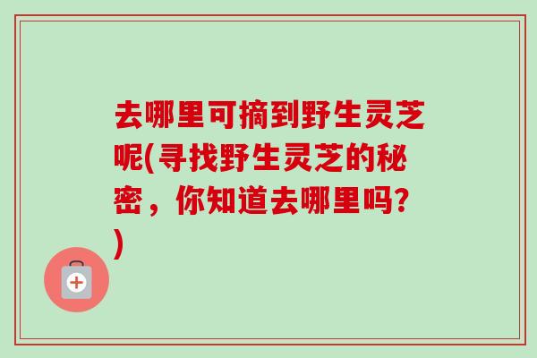 去哪里可摘到野生灵芝呢(寻找野生灵芝的秘密，你知道去哪里吗？)-第1张图片-卓越灵芝孢子粉