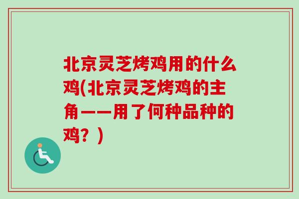 北京灵芝烤鸡用的什么鸡(北京灵芝烤鸡的主角——用了何种品种的鸡?)-第1张图片-卓越灵芝孢子粉 北京灵芝烤鸡用的什么鸡(北京灵芝烤鸡的主角——用了何种品种的鸡?)-第1张图片-卓越灵芝孢子粉