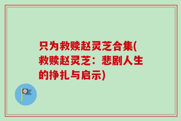 只为救赎赵灵芝合集(救赎赵灵芝:悲剧人生的挣扎与启示)-第1张图片-卓越灵芝孢子粉 只为救赎赵灵芝合集(救赎赵灵芝:悲剧人生的挣扎与启示)-第1张图片-卓越灵芝孢子粉