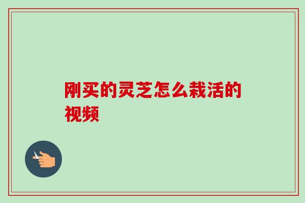 刚买的灵芝怎么栽活的视频-第1张图片-卓越灵芝孢子粉 刚买的灵芝怎么栽活的视频-第1张图片-卓越灵芝孢子粉