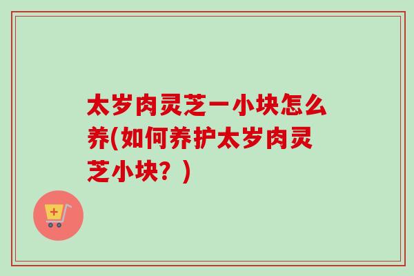 太岁肉灵芝一小块怎么养(如何养护太岁肉灵芝小块?)-第1张图片-卓越灵芝孢子粉 太岁肉灵芝一小块怎么养(如何养护太岁肉灵芝小块?)-第1张图片-卓越灵芝孢子粉