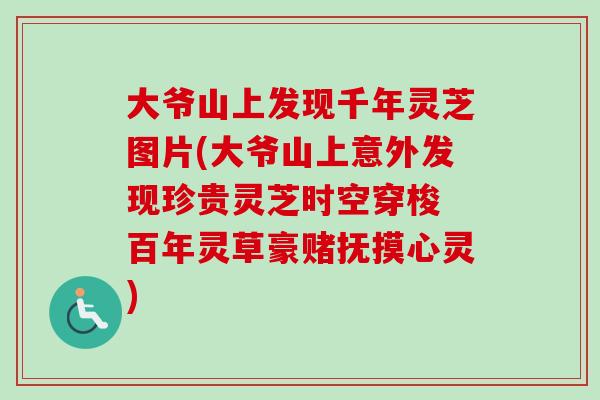 大爷山上发现千年灵芝图片(大爷山上意外发现珍贵灵芝时空穿梭 百年灵草豪赌抚摸心灵)-第1张图片-卓越灵芝孢子粉 大爷山上发现千年灵芝图片(大爷山上意外发现珍贵灵芝时空穿梭 百年灵草豪赌抚摸心灵)-第1张图片-卓越灵芝孢子粉