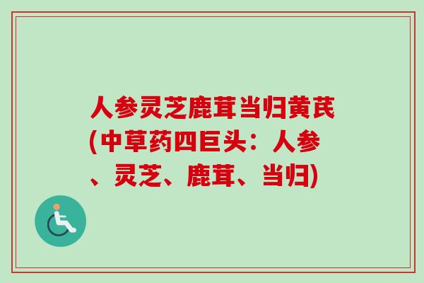 人参灵芝鹿茸当归黄芪(中草药四巨头:人参、灵芝、鹿茸、当归)-第1张图片-卓越灵芝孢子粉 人参灵芝鹿茸当归黄芪(中草药四巨头:人参、灵芝、鹿茸、当归)-第1张图片-卓越灵芝孢子粉