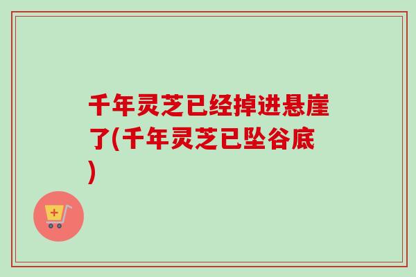 千年灵芝已经掉进悬崖了(千年灵芝已坠谷底)-第1张图片-卓越灵芝孢子粉