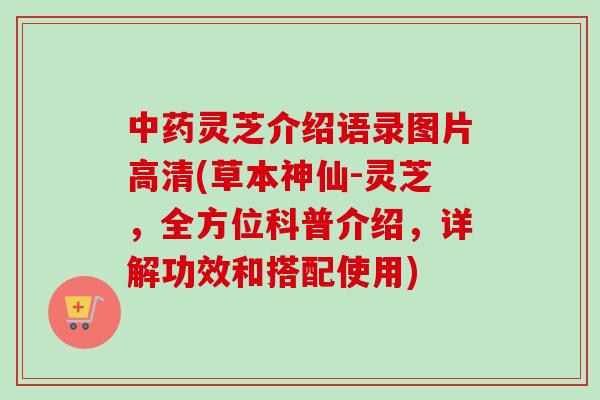 中药灵芝介绍语录图片高清(草本神仙-灵芝,全方位科普介绍,详解功效和搭配使用)-第1张图片-卓越灵芝孢子粉 中药灵芝介绍语录图片高清(草本神仙-灵芝,全方位科普介绍,详解功效和搭配使用)-第1张图片-卓越灵芝孢子粉