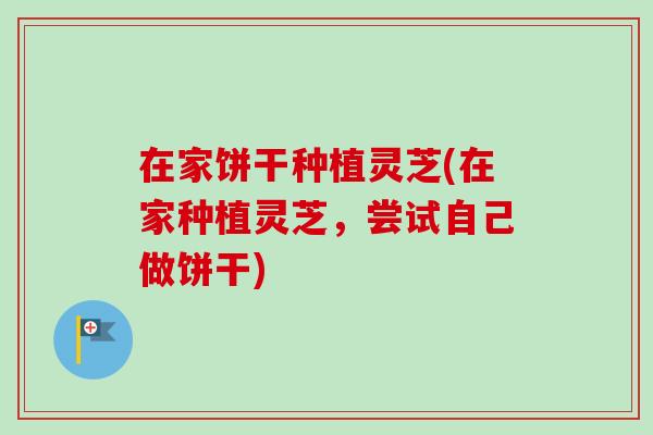 在家饼干种植灵芝(在家种植灵芝，尝试自己做饼干)-第1张图片-卓岳灵芝孢子粉