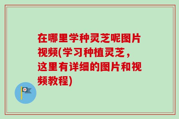 在哪里学种灵芝呢图片视频(学习种植灵芝，这里有详细的图片和视频教程)-第1张图片-卓岳灵芝孢子粉