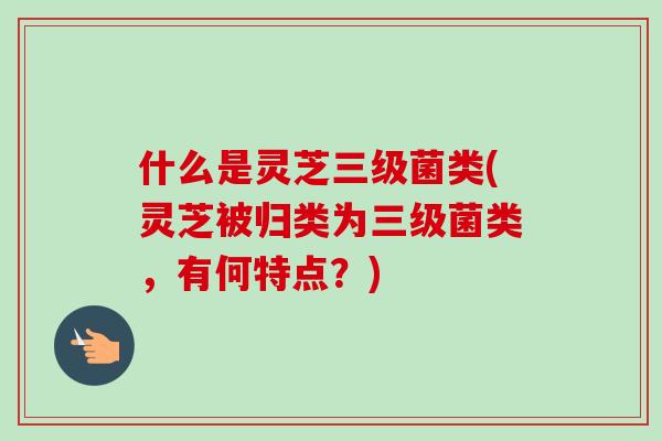 什么是灵芝三级菌类(灵芝被归类为三级菌类，有何特点？)-第1张图片-卓岳灵芝孢子粉