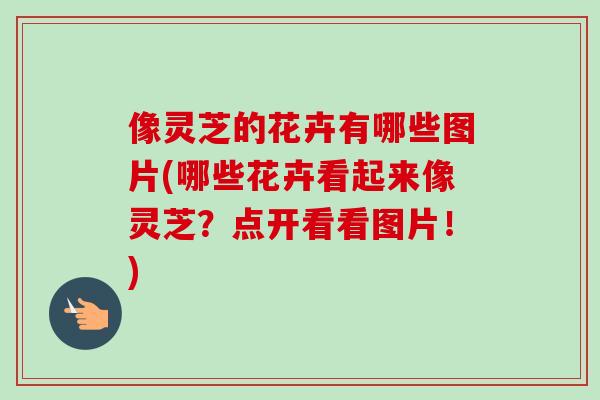 像灵芝的花卉有哪些图片(哪些花卉看起来像灵芝？点开看看图片！)-第1张图片-卓越灵芝孢子粉