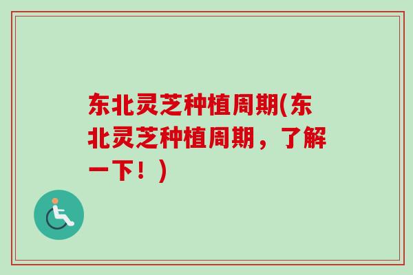 东北灵芝种植周期(东北灵芝种植周期，了解一下！)-第1张图片-卓岳灵芝孢子粉