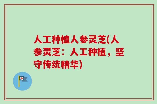 人工种植人参灵芝(人参灵芝：人工种植，坚守传统精华)-第1张图片-卓越灵芝孢子粉