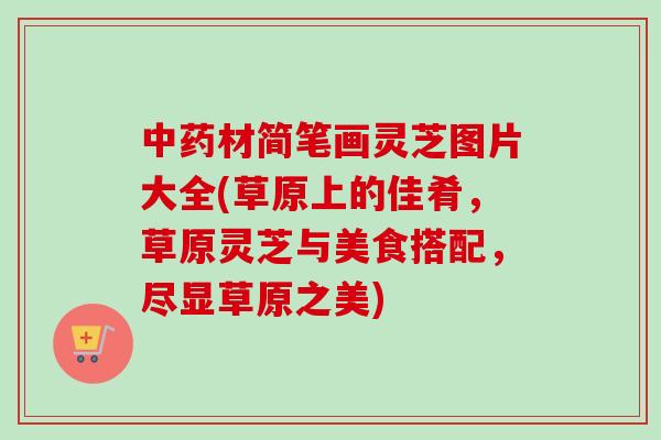 中药材简笔画灵芝图片大全(草原上的佳肴，草原灵芝与美食搭配，尽显草原之美)-第1张图片-卓岳灵芝孢子粉