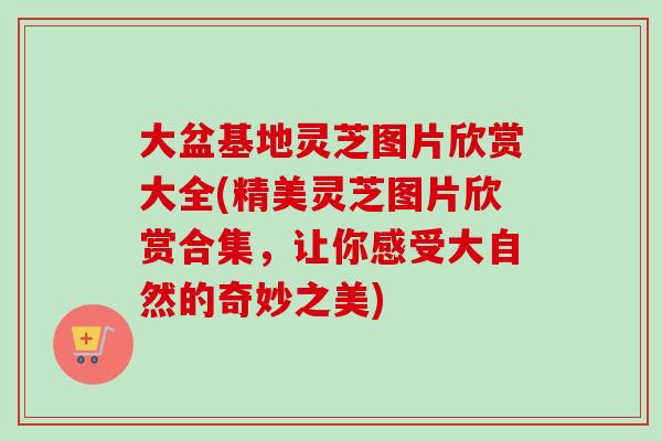 大盆基地灵芝图片欣赏大全(精美灵芝图片欣赏合集，让你感受大自然的奇妙之美)-第1张图片-卓越灵芝孢子粉