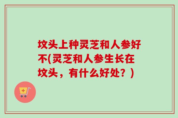 坟头上种灵芝和人参好不(灵芝和人参生长在坟头，有什么好处？)-第1张图片-卓岳灵芝孢子粉