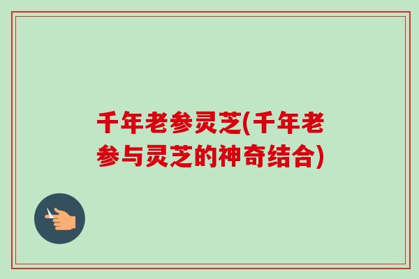 千年老参灵芝(千年老参与灵芝的神奇结合)-第1张图片-卓越灵芝孢子粉