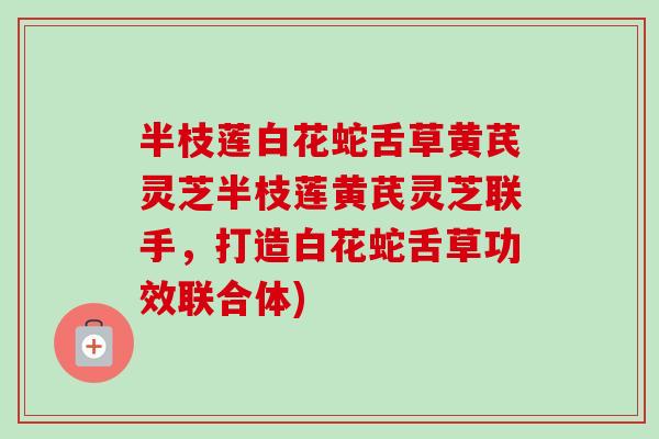 半枝莲白花蛇舌草黄芪灵芝半枝莲黄芪灵芝联手，打造白花蛇舌草功效联合体)-第1张图片-卓越灵芝孢子粉