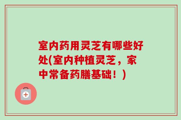 室内药用灵芝有哪些好处(室内种植灵芝，家中常备药膳基础！)-第1张图片-卓越灵芝孢子粉