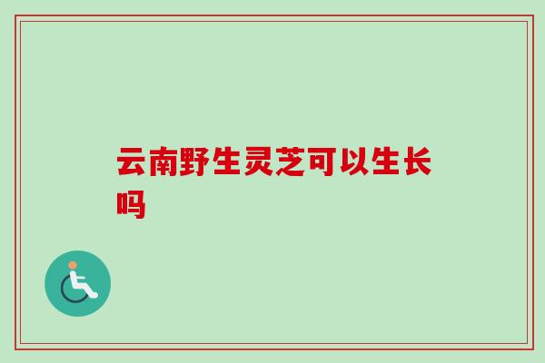 云南野生灵芝可以生长吗-第1张图片-卓岳灵芝孢子粉