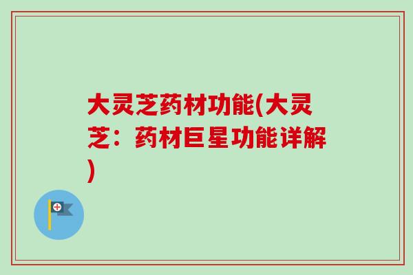 大灵芝药材功能(大灵芝：药材巨星功能详解)-第1张图片-卓岳灵芝孢子粉