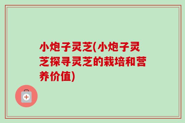 小炮子灵芝(小炮子灵芝探寻灵芝的栽培和营养价值)-第1张图片-卓越灵芝孢子粉