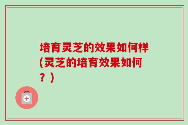 培育灵芝的效果如何样(灵芝的培育效果如何?)-第1张图片-卓越灵芝孢子粉 培育灵芝的效果如何样(灵芝的培育效果如何?)-第1张图片-卓越灵芝孢子粉