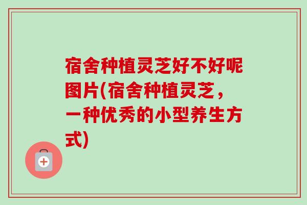 宿舍种植灵芝好不好呢图片(宿舍种植灵芝，一种优秀的小型养生方式)-第1张图片-卓越灵芝孢子粉